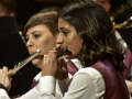 HS8_4281a
