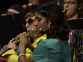 HS8_4456a