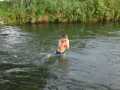 DSC01219