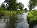 DSC01250