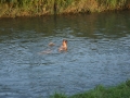 DSC00574