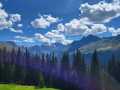 IMG-20230902-WA0039
