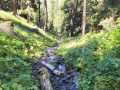 IMG-20230902-WA0040