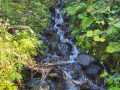 IMG-20230902-WA0042