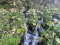 image00007